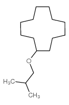 2-methylpropoxycyclododecane结构式