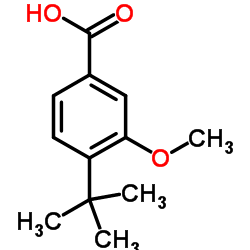 4-tert-Butyl-3-methoxybenzoic acid Structure