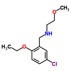 N-(5-Chloro-2-ethoxybenzyl)-2-methoxyethanamine结构式