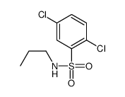 Benzenesulfonamide, 2,5-dichloro-N-propyl- Structure