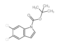 1-Boc-5,6-二氯-1h-吲哚图片