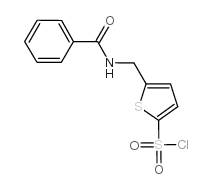 5-[(苯甲酰基氨基)甲基]噻吩-2-磺酰氯图片