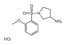 1-(2-methoxyphenyl)sulfonylpyrrolidin-3-amine,hydrochloride structure