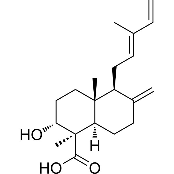 153042-80-9 structure