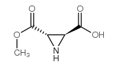 2,3-Aziridinedicarboxylicacid,monomethylester,(2S-trans)-(9CI) picture