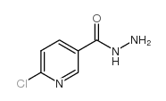 6-Chloropyridine-3-carbohydrazide picture