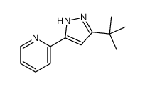 2-(5-tert-butyl-1H-pyrazol-3-yl)pyridine Structure