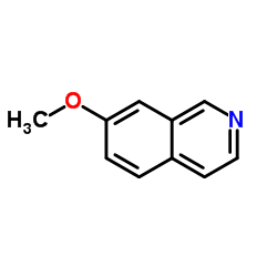 7-Methoxyisoquinoline picture