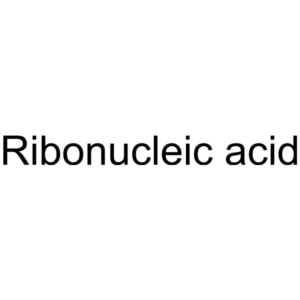 Ribonucleic acid Structure