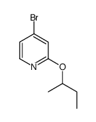 1289131-50-5 structure