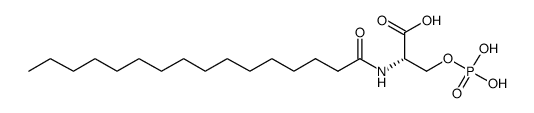 L-NASPA Structure