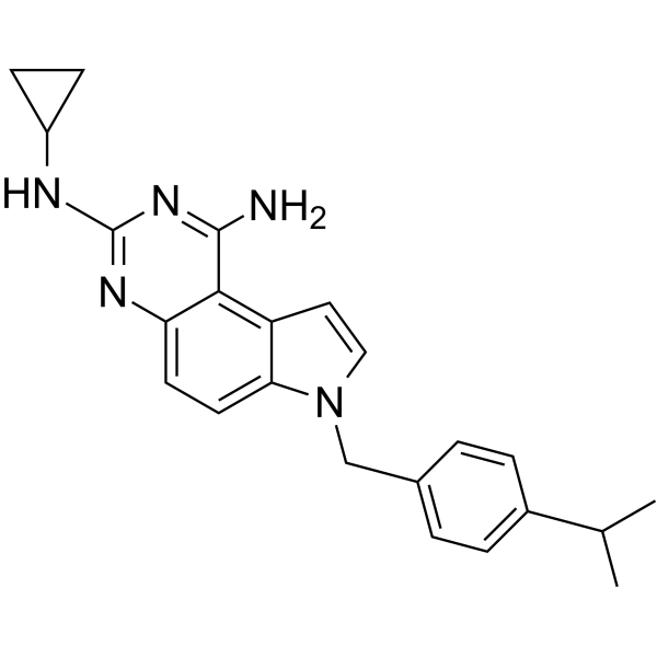 245520-69-8 structure