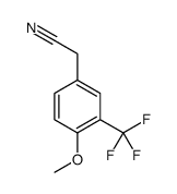 1000555-32-7 structure