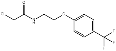 2-chloro-N-{2-[4-(trifluoromethyl)phenoxy]ethyl}acetamide Structure