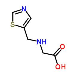 N-(1,3-Thiazol-5-ylmethyl)glycine结构式