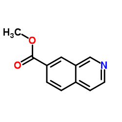 Methyl 7-isoquinolinecarboxylate Structure