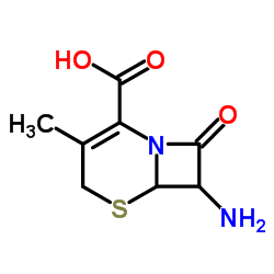 7-ADCA Structure