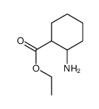 2-氨基环己烷甲酸乙酯图片