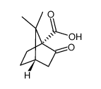 (1R)-(-)-酮基蒎酸图片