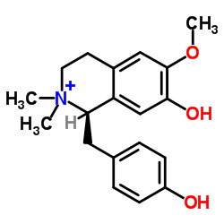 木兰箭毒碱图片