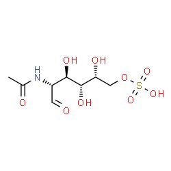 (2R,3R,4R,5R)-2-acetamido-3,4,5-trihydroxy-1-oxo-6-sulfooxy-hexane structure