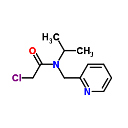 2-Chloro-N-isopropyl-N-(2-pyridinylmethyl)acetamide图片