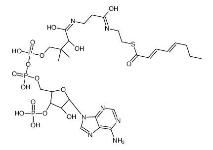 2-trans,4-trans-Octadienoyl-CoA结构式