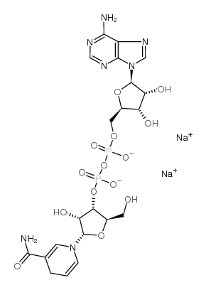 α-Nicotinamide adenine dinucleotide, reduced disodium salt picture