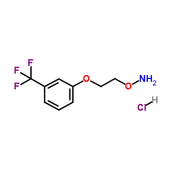 1-[2-(AMMONIOOXY)ETHOXY]-3-(TRIFLUOROMETHYL)BENZENE CHLORIDE Structure