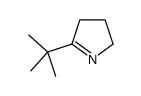 5-(TERT-BUTYL)-3,4-DIHYDRO-2H-PYRROLE picture