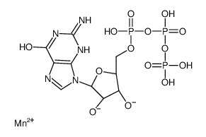 manganese GTP Structure