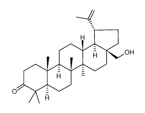 3-Oxobetulin Structure