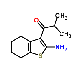 1-(2-氨基-4,5,6,7-四氢苯并[b]噻吩-3-基)-2-甲基丙烷-1-酮图片