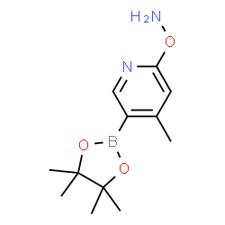 O-(4-Methyl-5-(4,4,5,5-tetramethyl-1,3,2-dioxaborolan-2-yl)pyridin-2-yl)hydroxylamine Structure