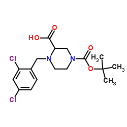 4-(2,4-Dichloro-benzyl)-piperazine-1,3-dicarboxylic acid 1-tert-butyl ester structure