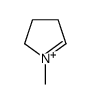 1-甲基-delta(1)-吡咯啉鎓结构式