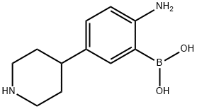 5-(Piperidin-4-yl)-2-aminophenylboronic acid Structure