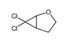 2-OXABICYCLO[3.1.0]HEXANE, 6,6-DICHLORO- Structure