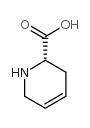 (S)-4-(SEC-BUTYL)OXAZOLIDINE-2,5-DIONE Structure