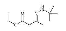 ethyl 3-(tert-butylhydrazinylidene)butanoate结构式