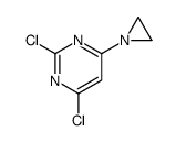 4-(aziridin-1-yl)-2,6-dichloropyrimidine Structure