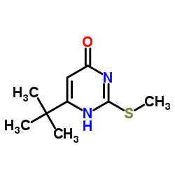 6-tert-Butyl-2-(methylsulfanyl)pyrimidin-4(3H)-one picture