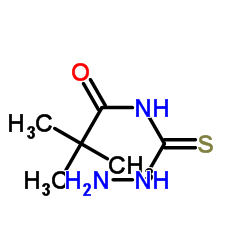 N-(Hydrazinecarbonothioyl)pivalamide structure