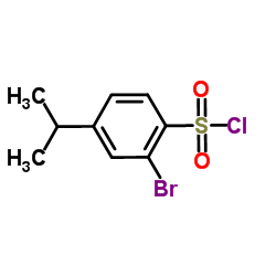 2-Bromo-4-isopropylbenzenesulfonyl chloride结构式