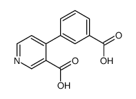 1261962-19-9 structure