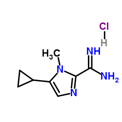 5-Cyclopropyl-1-Methyl-1H-imidazole-2-carboxamidine hydrochloride structure