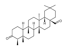 Canophyllal structure