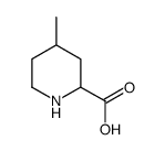 2-Piperidinecarboxylicacid,4-methyl-(9CI) Structure