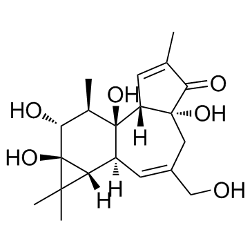 phorbol Structure