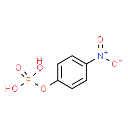 4-硝基苯基磷酸二钠六水合物图片